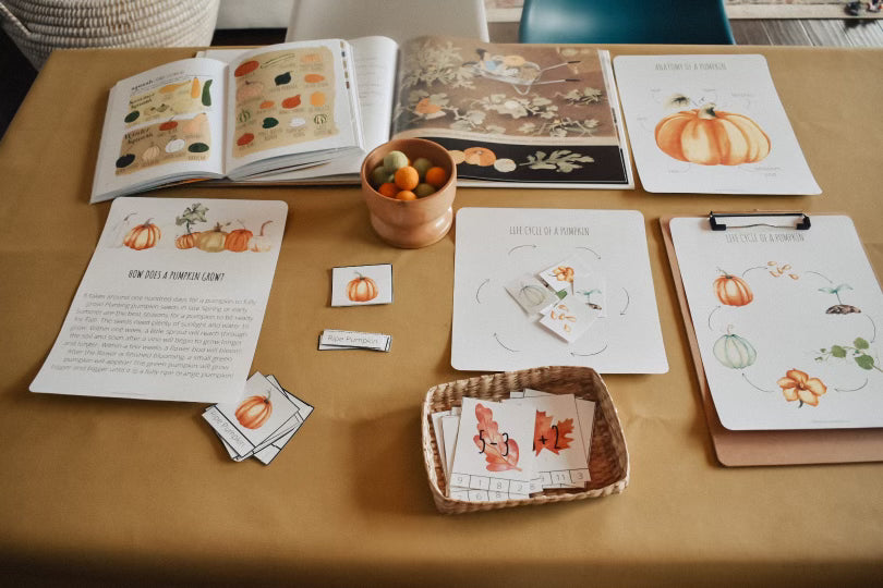 Fall Fun Packet – Harbor and Sprout